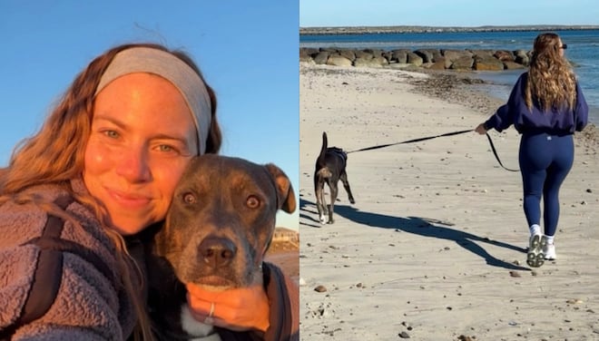 Professora troca sala de aula por passeios com cachorros e fatura cerca de R$ 20 mil por mês