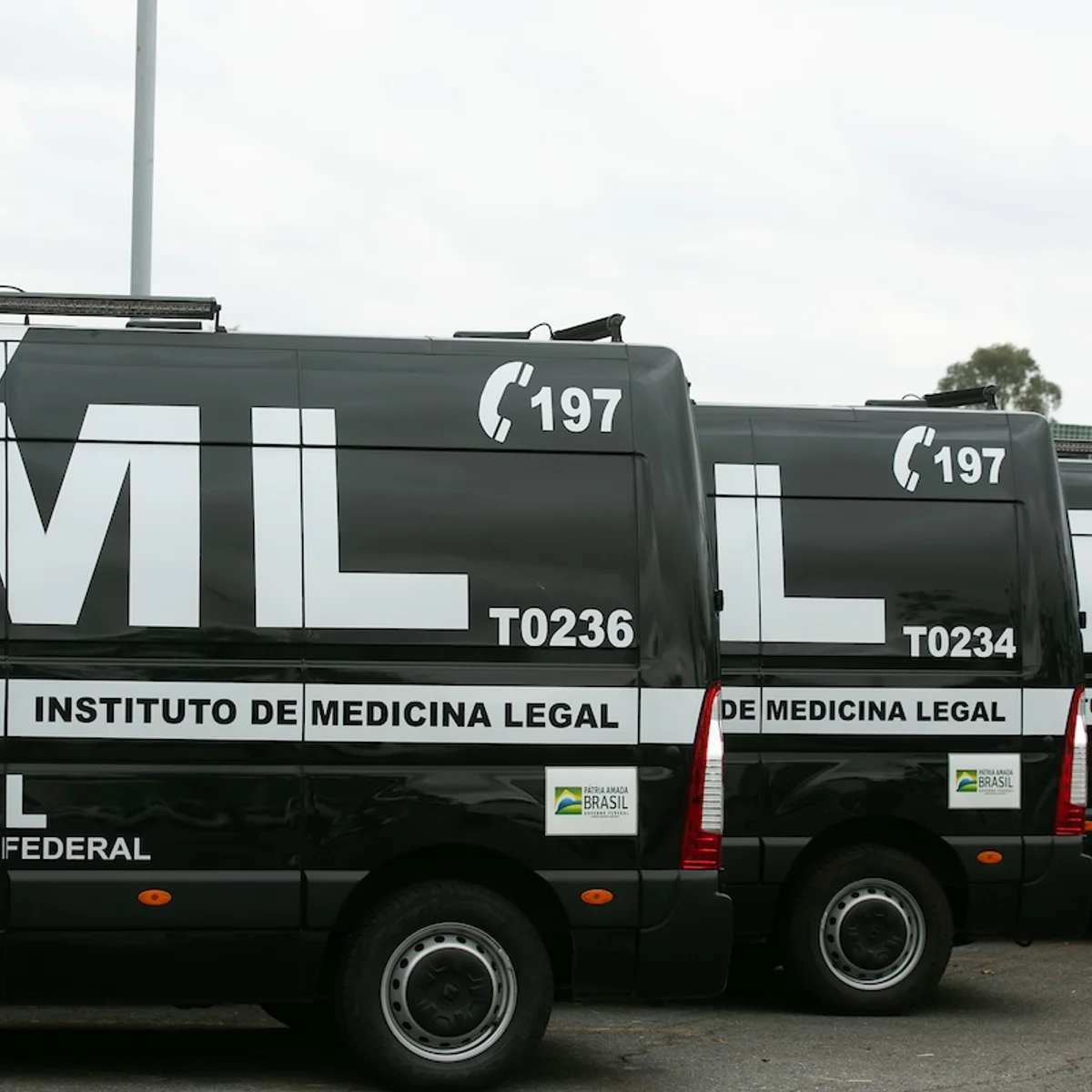 Corpo de jovem de 21 anos é encontrado carbonizado perto de creche no DF