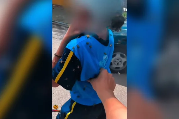 Motoboy salva criança e leva 40 picadas durante ataque de abelhas em MG