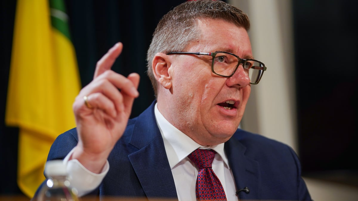 Saskatchewan premier eyes two nuclear reactors for northwest of province