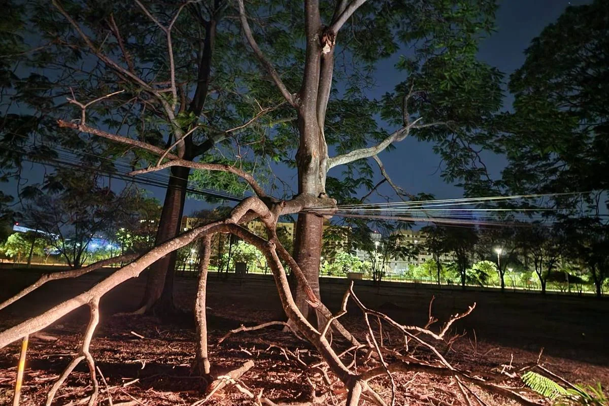 Árvore cai sobre rede elétrica e deixa sem luz parte do Parque da Cidade