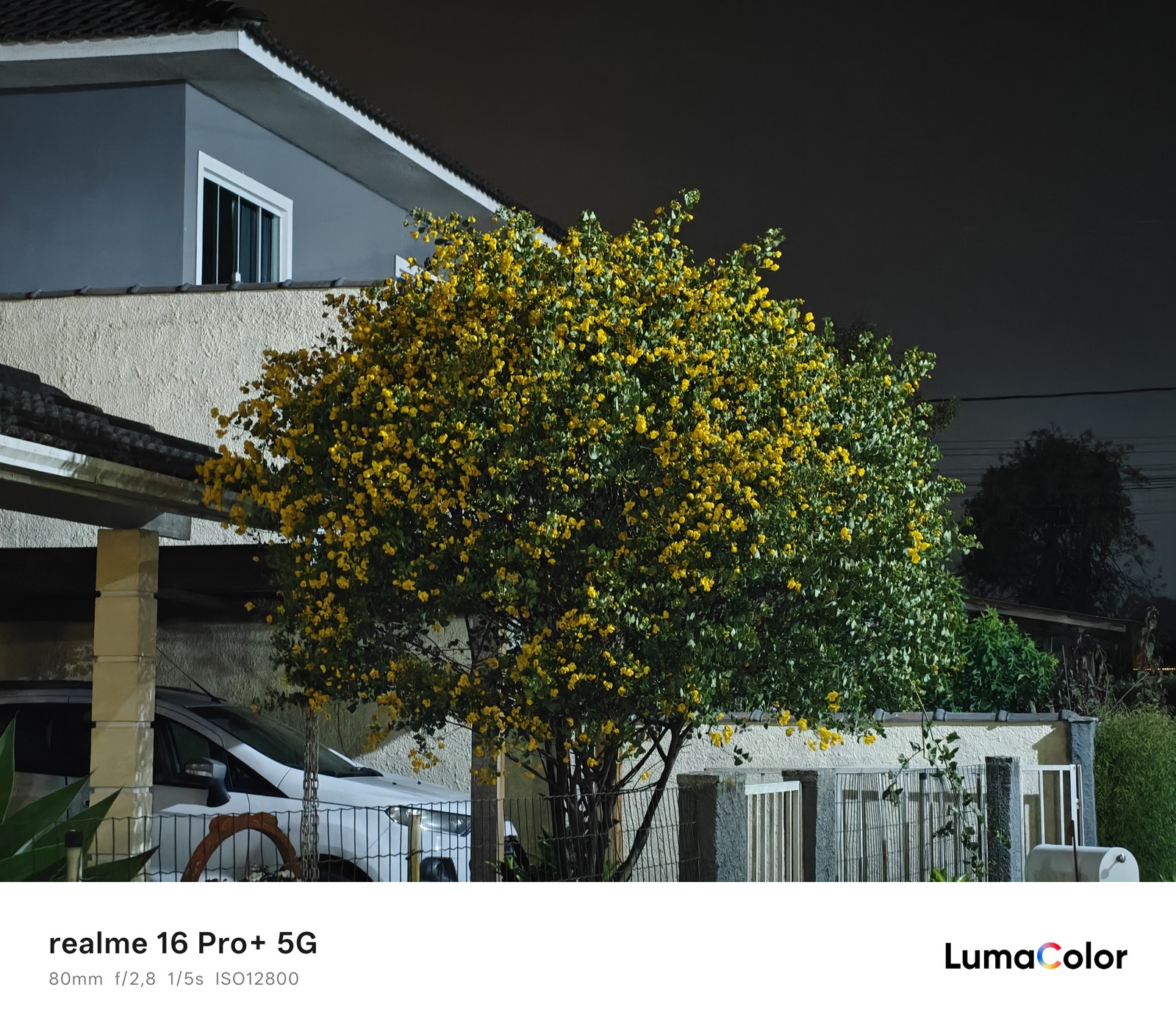 Ipê amarelo; foto tirada à noite com zoom de 3,5x do realme 16 Pro+ — Foto: Ana Letícia Loubak/TechTudo