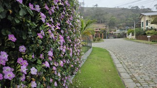 Muro com cerca viva de flores roxas; foto tirada com câmera ultrawide do Galaxy Z Fold 7 — Foto: Ana Letícia Loubak/TechTudo