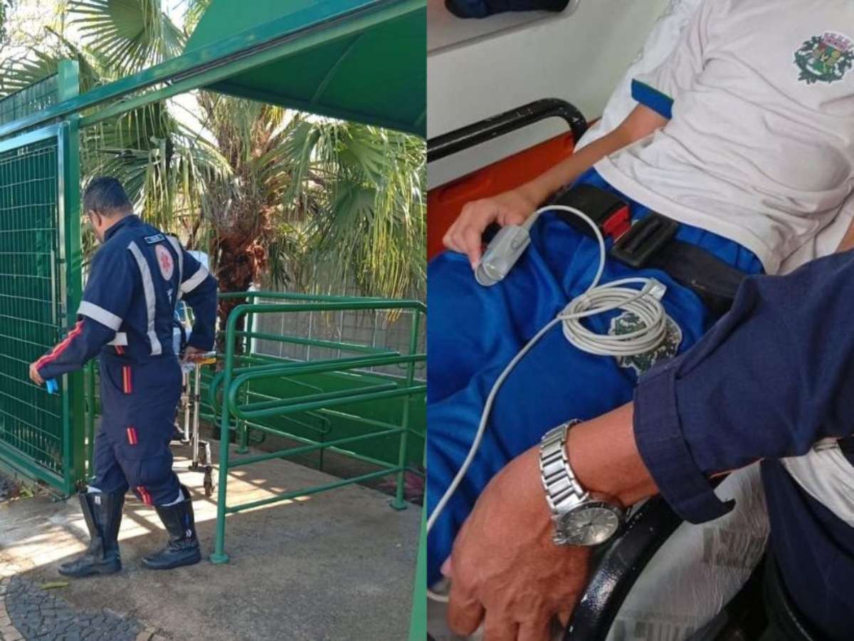 Aluno autista desmaia ao ser agredido por colega em sala de aula no interior de São Paulo