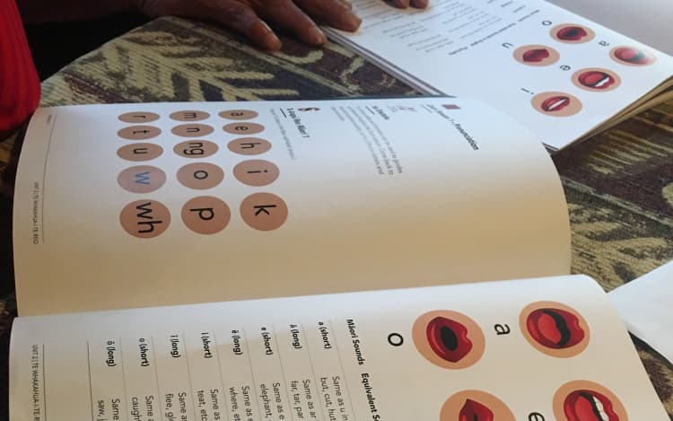 A learning lesson from a book for teaching te reo Māori.