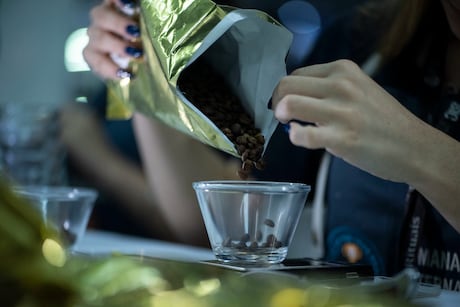 Brasil tem escala para liderar o futuro do café, mas precisa avançar em competitividade