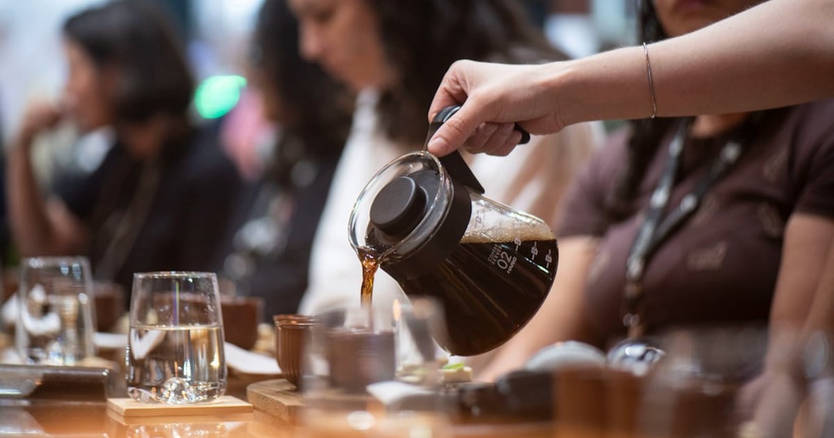 Brasil tem escala para liderar o futuro do café, mas precisa avançar em competitividade