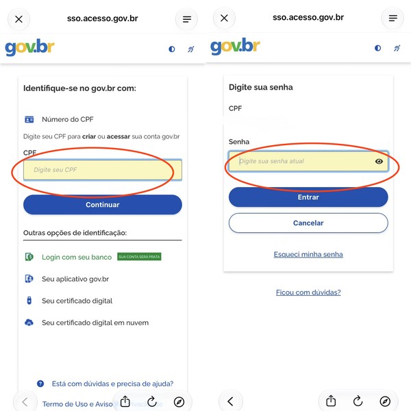7 apps úteis para facilitar o dia a dia dos idosos; conheça
