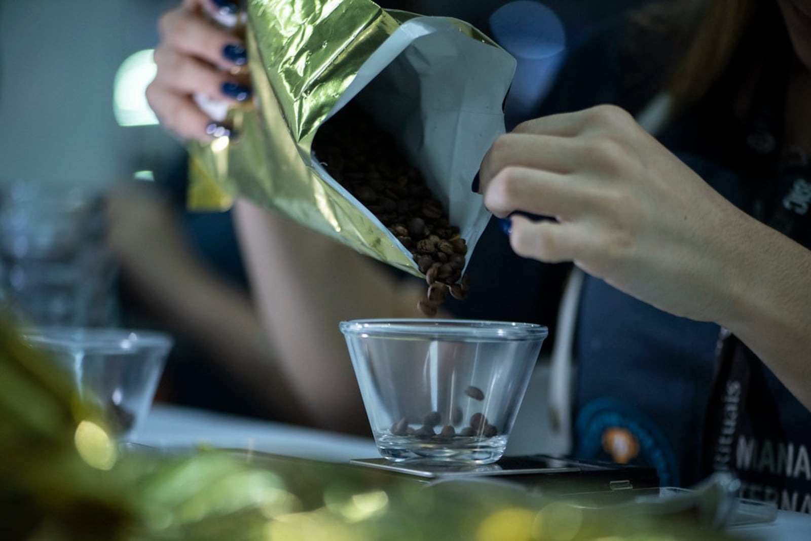 Café brasileiro se prepara para uma nova agenda global Foto cedida: SIC 2026