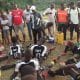 Antiga glória do Benfica orienta curso da FIFA para treinadores de guarda-redes