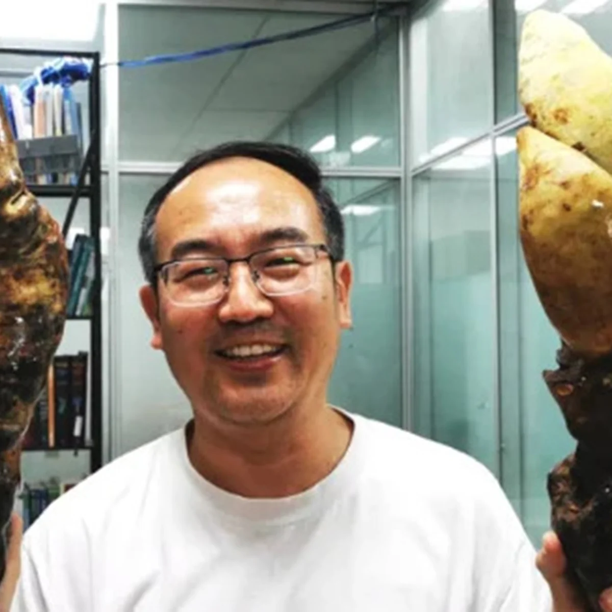 D-Rex: fungo ancestral do tamanho de cone de trânsito é achado na China
