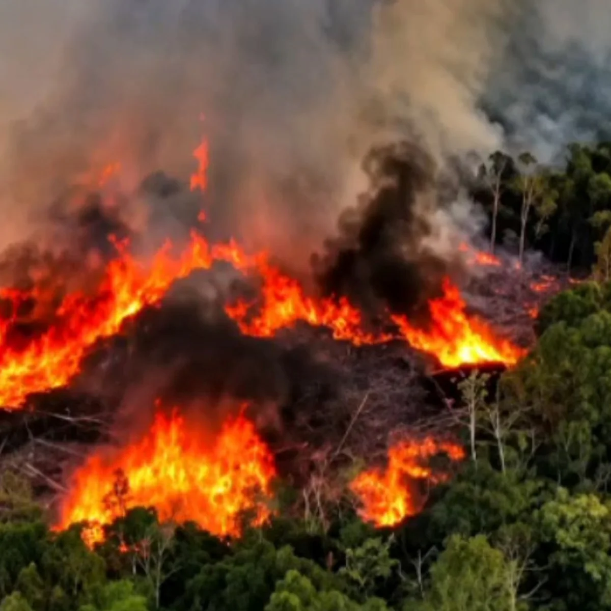 Governo anuncia envio de novos aviões para combater incêndios no Amazonas