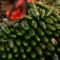 Cofepris descarta presencia de salmonella en empacadora de chile jalapeño de NL