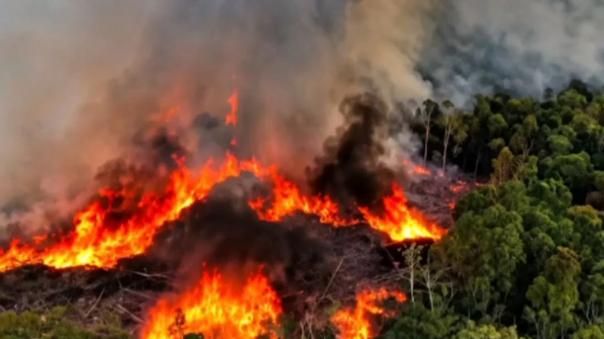 Governo anuncia envio de novos aviões para combater incêndios no Amazonas