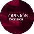 Opinión del experto nacional