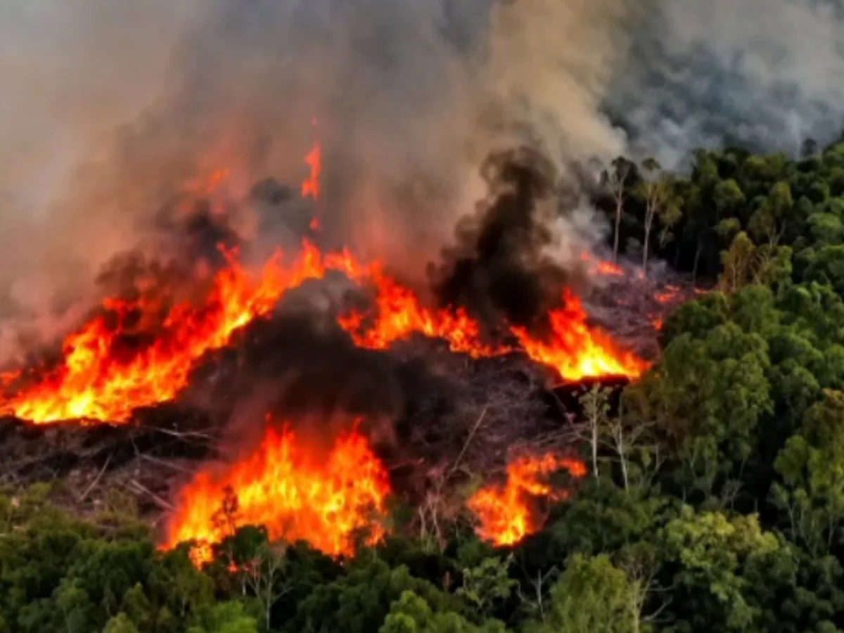 Governo anuncia envio de novos aviões para combater incêndios no Amazonas