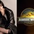 Anne Hathaway hizo un llamado a Scarlett Johansson para trabajar juntas.
