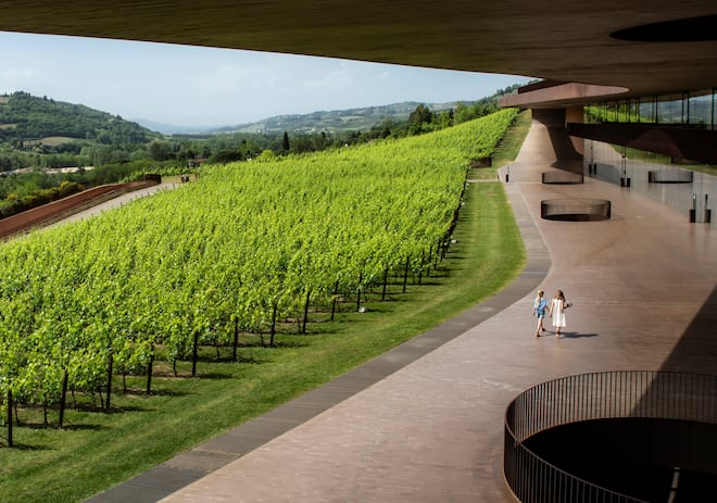 Ladrões mascarados roubam vinho de mais de R$ 25 milhões de uma das principais vinícolas italianas