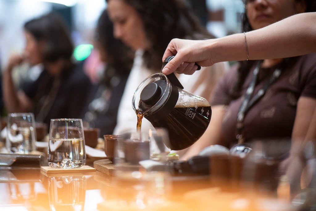 Brasil tem escala para liderar o futuro do café, mas precisa avançar em competitividade